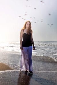 birds-flying-on-beach